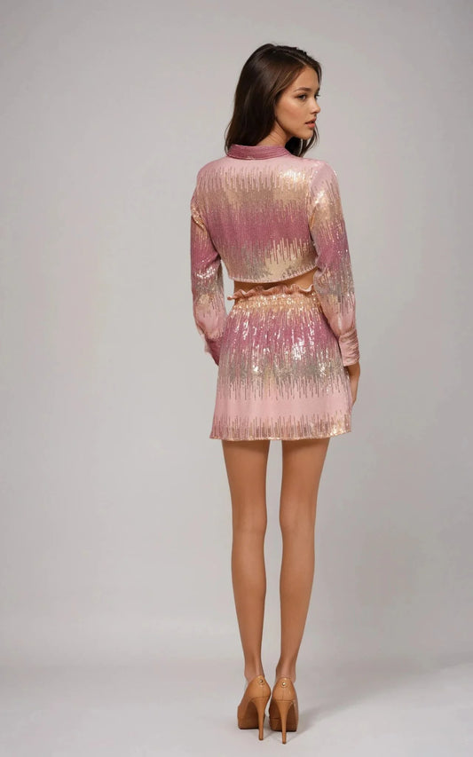 Ombre Sequin Georgette Top